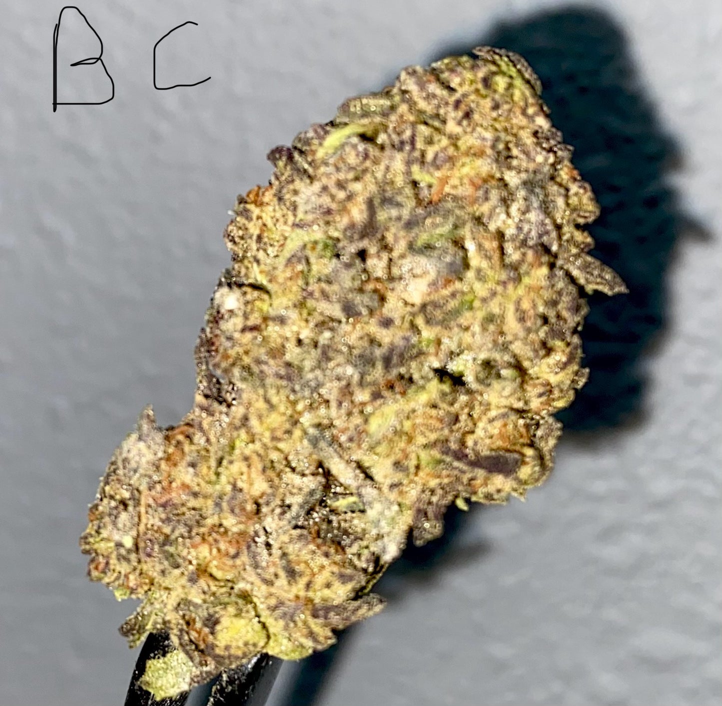 Indoor Low