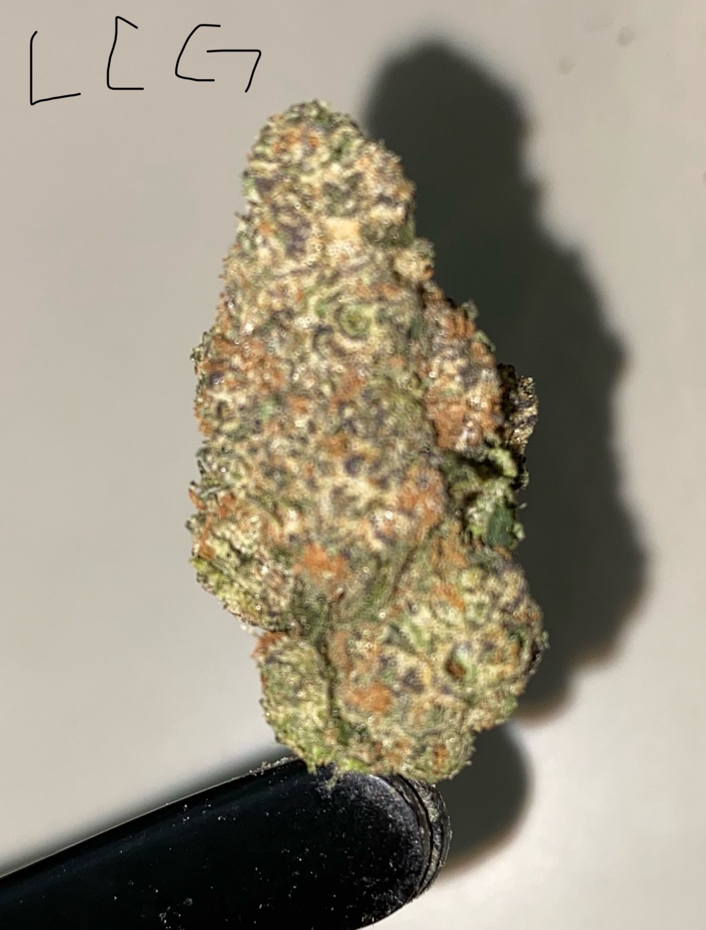 Indoor High
