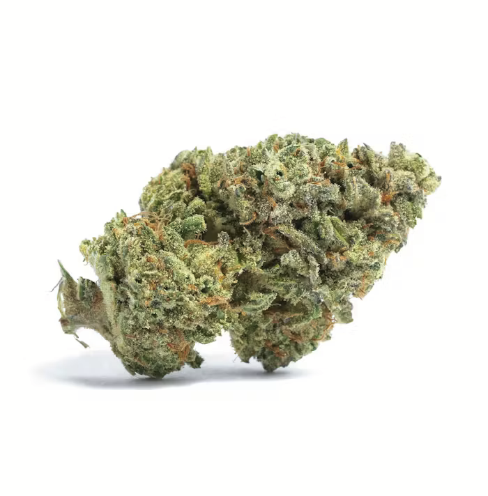 Indoor Low