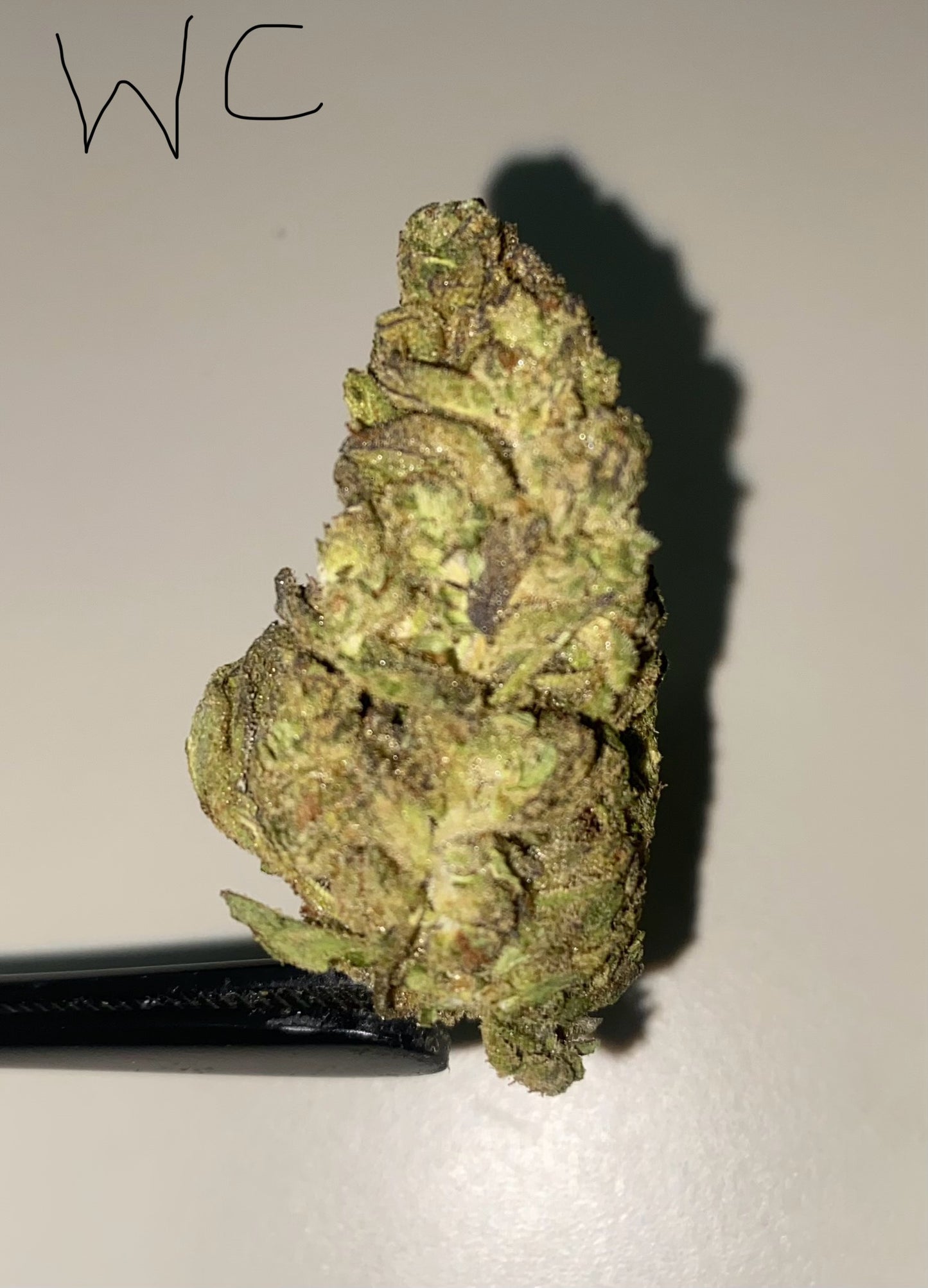 Indoor High