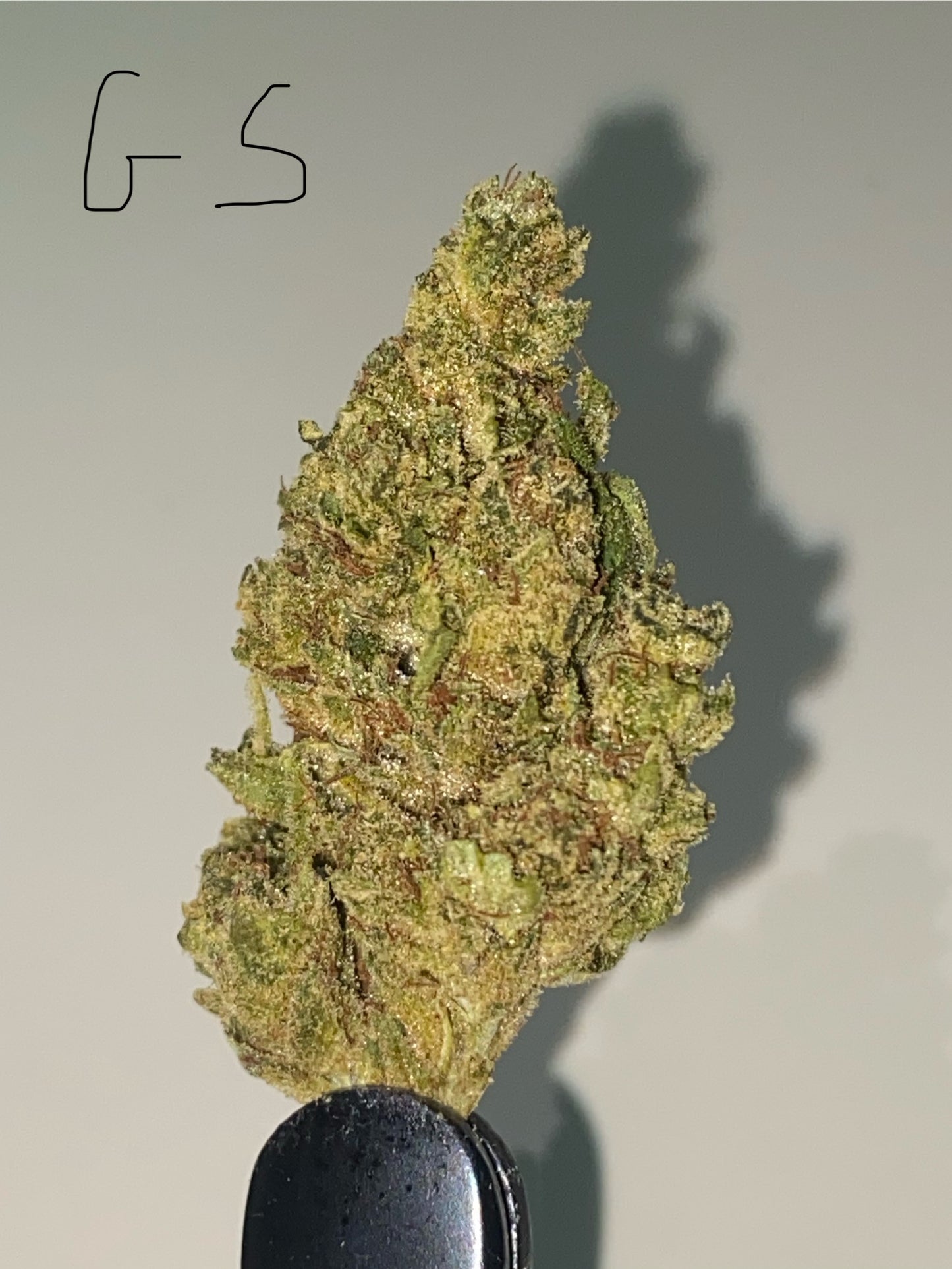 Indoor High