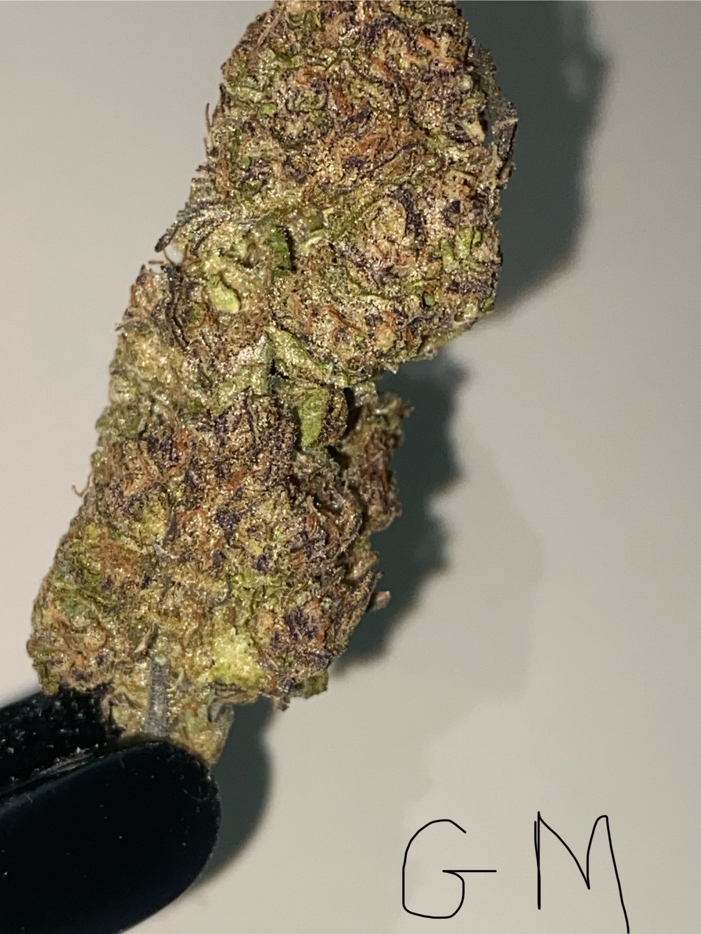 Indoor High